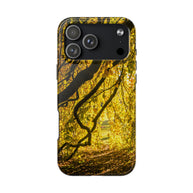 Yellow Leaves, Autumn Canopy Tough Phone Case - iPhone/Galaxy