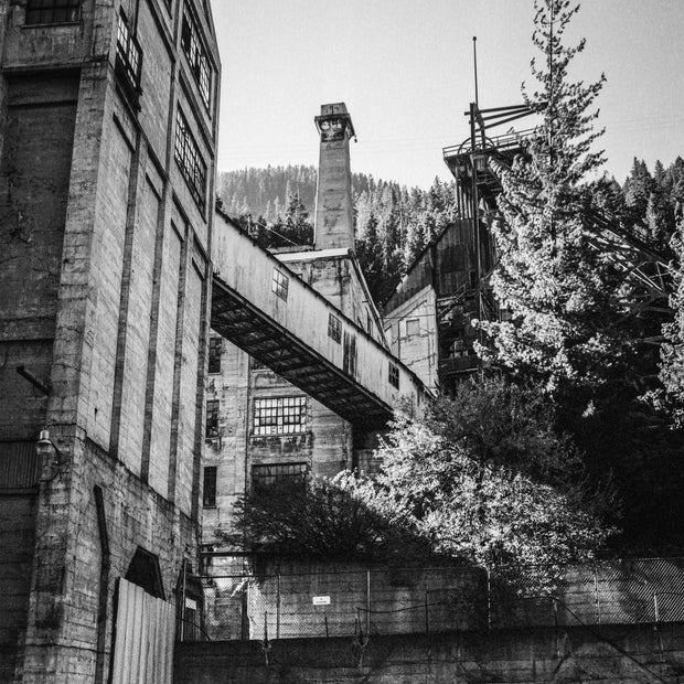 Architecture Wall Art Set - Five Framed Prints Black and White