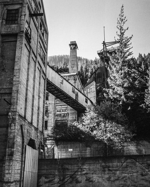 Architecture Wall Art Set - Five Framed Prints Black and White
