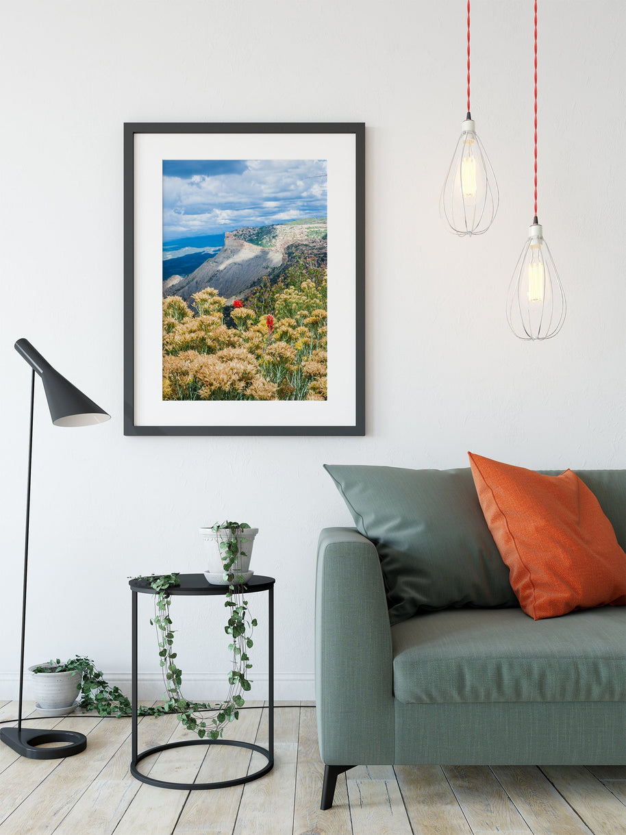 Mesa Verde Photo Print, Wildflowers in Colorado