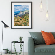 Mesa Verde Photo Print, Wildflowers in Colorado