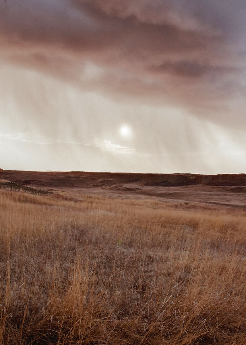 Palouse Golden Field Photo Print, Stormy Sky Western Art