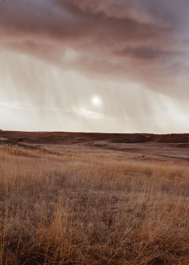 Palouse Golden Field Photo Print, Stormy Sky Western Art