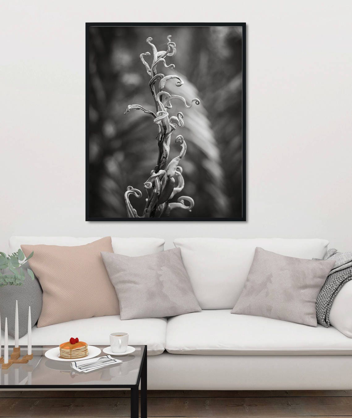 Black and White Fern Photography, Florida Everglades Botanical Art Print