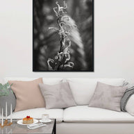 Black and White Fern Photography, Florida Everglades Botanical Art Print