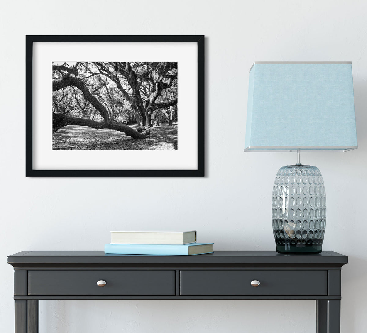 Louisiana Live Oak Photography Print, Jungle Gardens Nature Decor