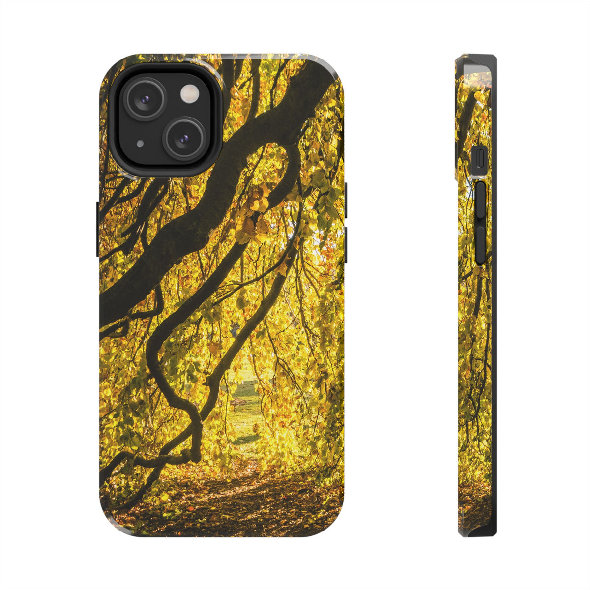 Yellow Leaves, Autumn Canopy Tough Phone Case - iPhone/Galaxy