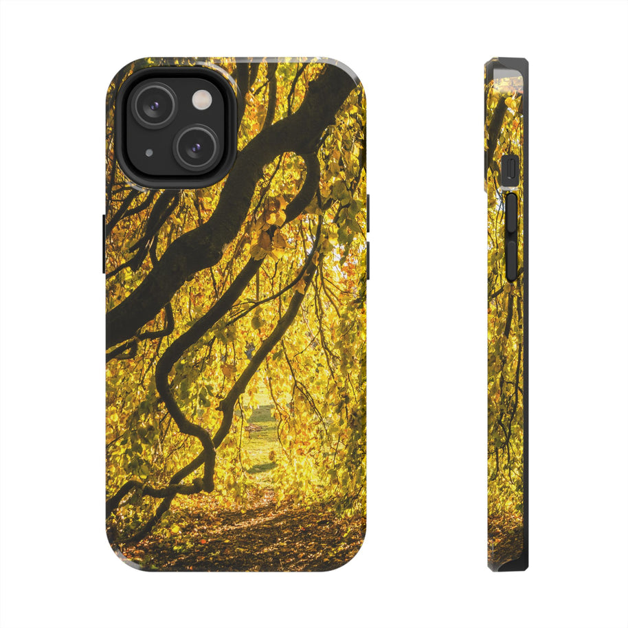 Yellow Leaves, Autumn Canopy Tough Phone Case - iPhone/Galaxy