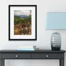 Colville National Forest Photography Print, Autumn Wilderness View