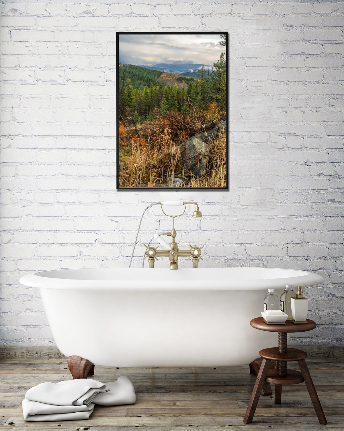 Colville National Forest Photography Print, Autumn Wilderness View