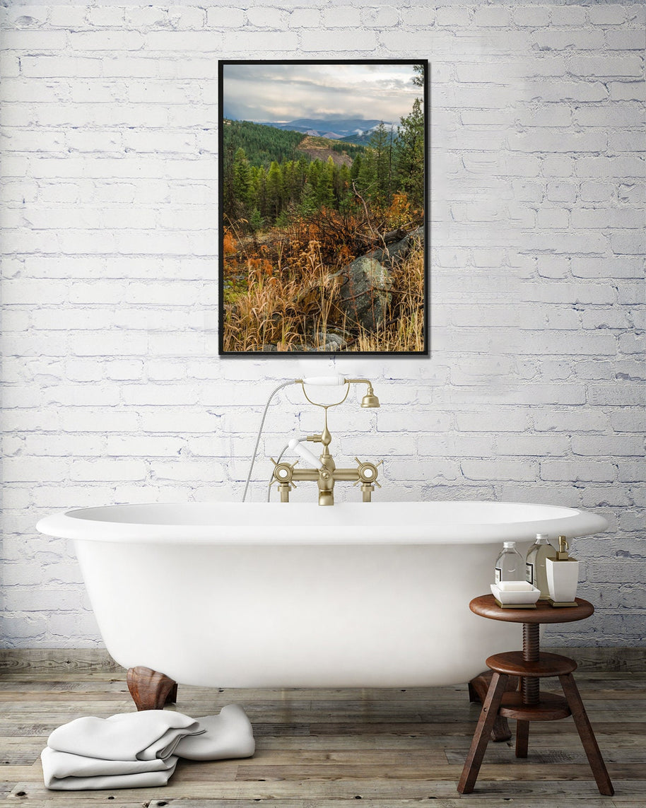 Colville National Forest Photography Print, Autumn Wilderness View