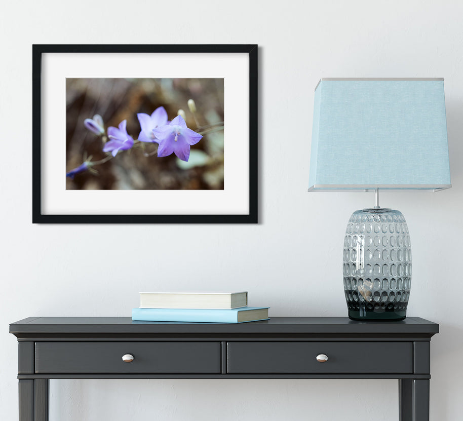 Bluebell Photo Print, Floral Photography, Nature Wall Art, Purple Decor, Botanical Art