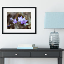 Bluebell Photo Print, Floral Photography, Nature Wall Art, Purple Decor, Botanical Art
