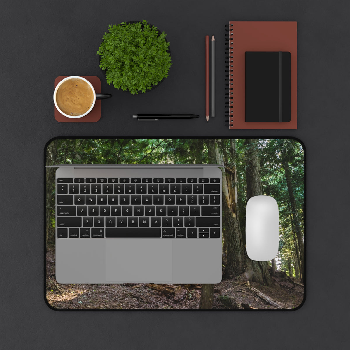 Cedar Forest Desk Mat - Sunlit Woods Gaming Mouse Pad - Extended Nature Keyboard Mat - Scenic Tree Workspace Decor