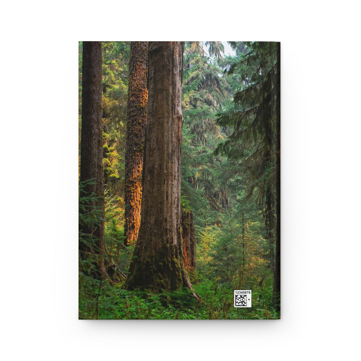 A vertical canvas print featuring a dense forest of tall redwood trees with green foliage and sunlight filtering through, displayed against a clean white background.