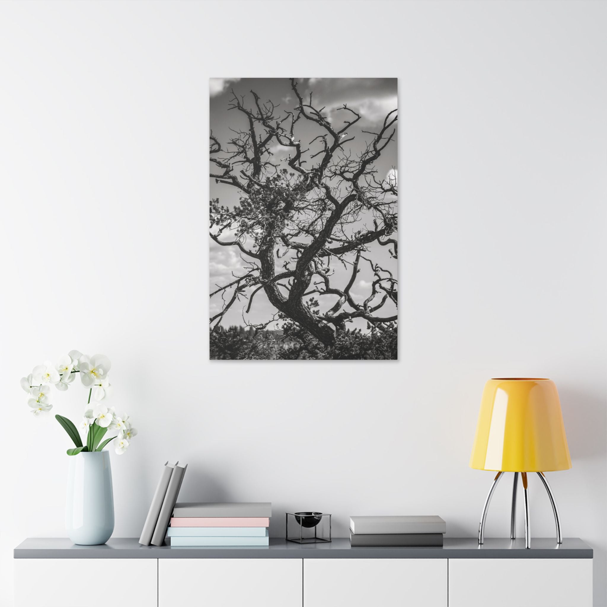 Southwest Tree Branches Photo Print, Black and White Photography