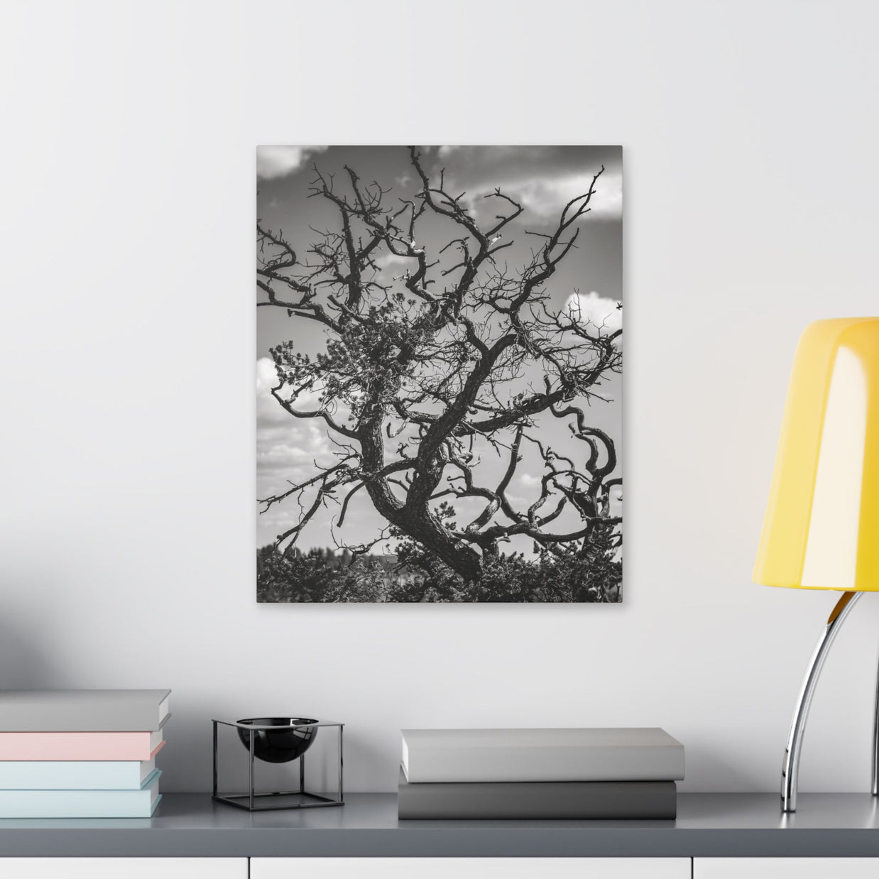 Southwest Tree Branches Photo Print, Black and White Photography