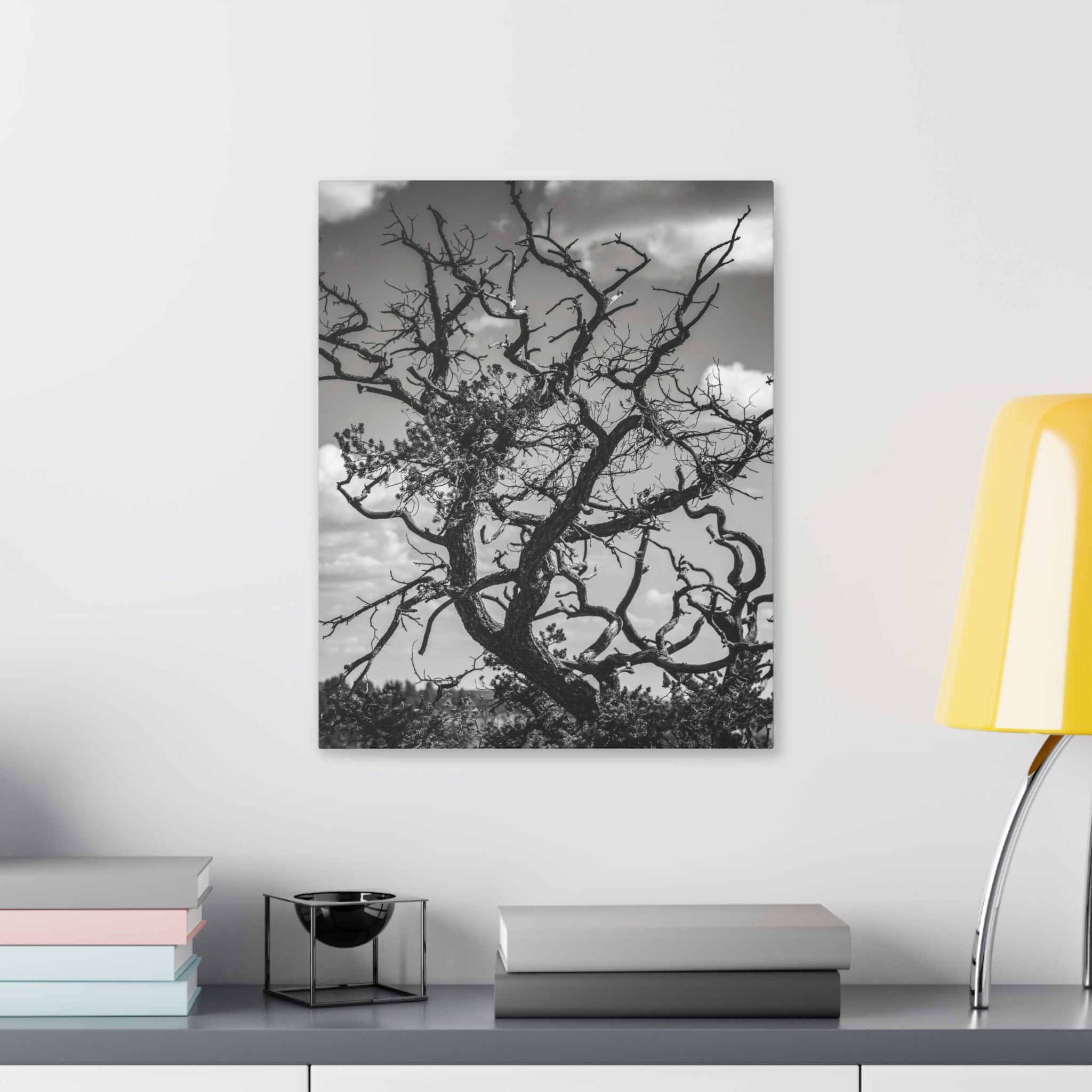 Southwest Tree Branches Photo Print, Black and White Photography