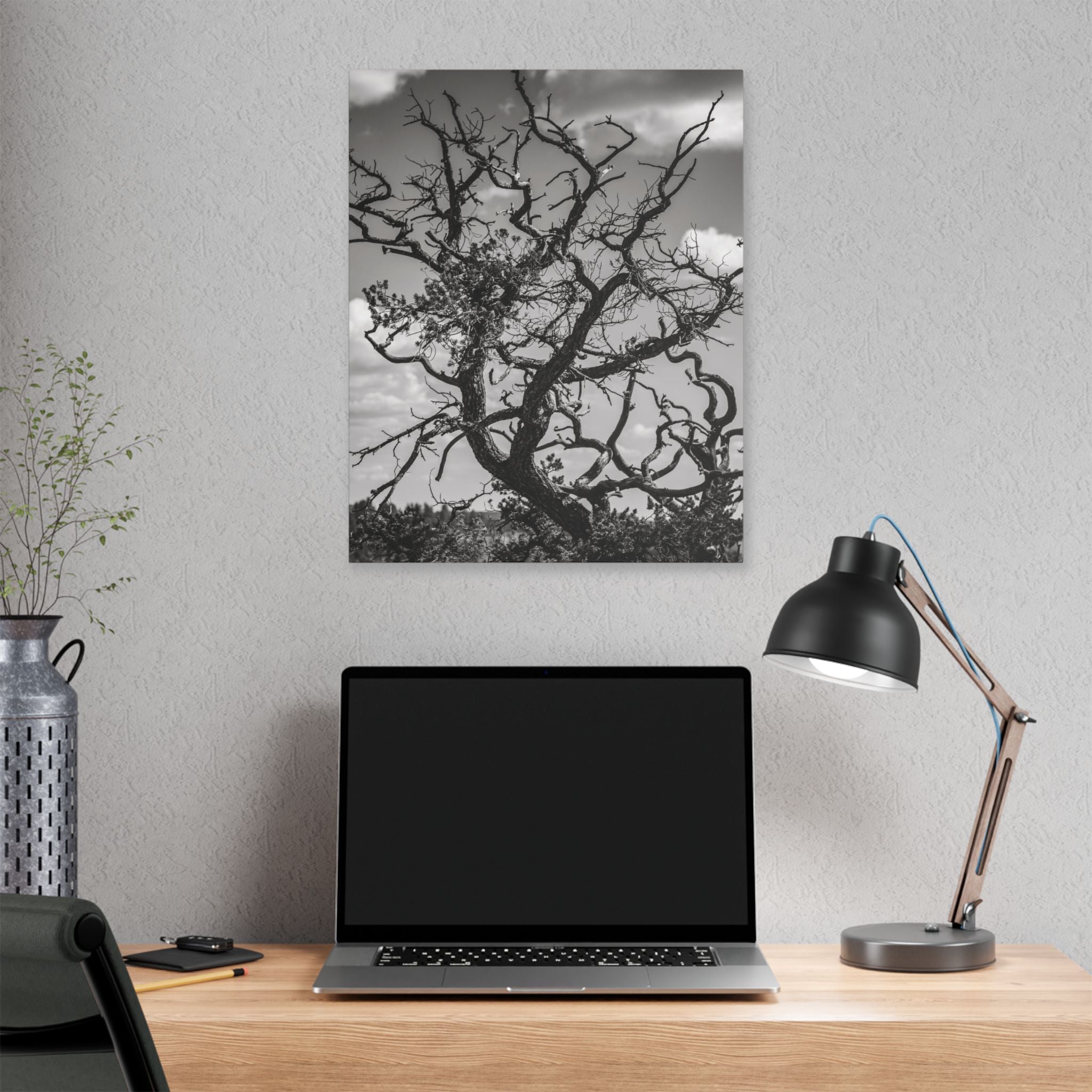 Southwest Tree Branches Photo Print, Black and White Photography