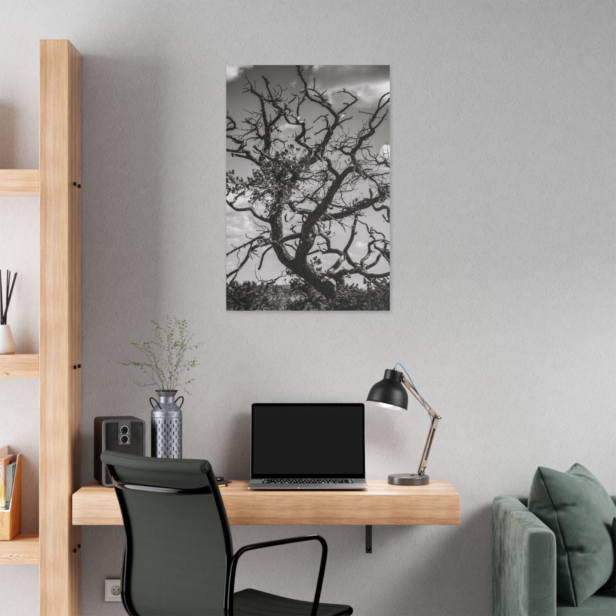 Southwest Tree Branches Photo Print, Black and White Photography