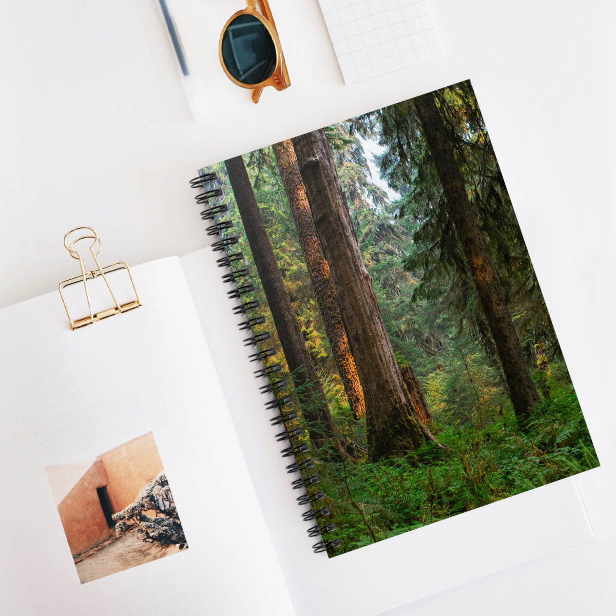 Olympic Rainforest Spiral Notebook - Ruled Line
