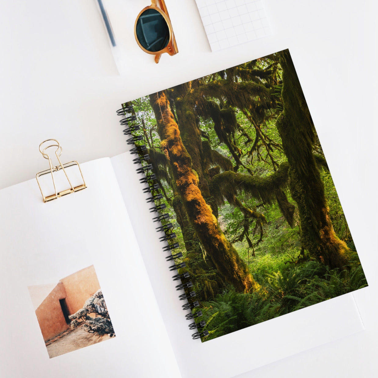 Mossy Forest Spiral Notebook, Olympic National Park - Ruled Line
