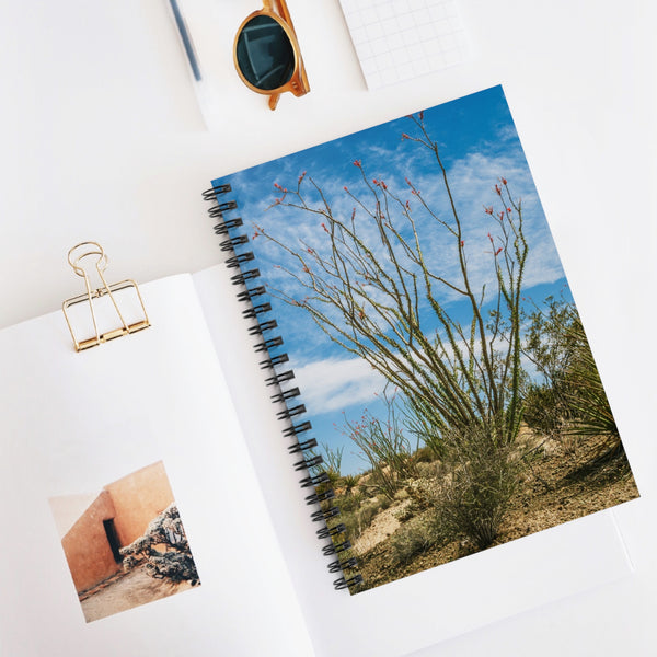 Ocotillo Cactus Spiral Notebook, Joshua Tree Journal