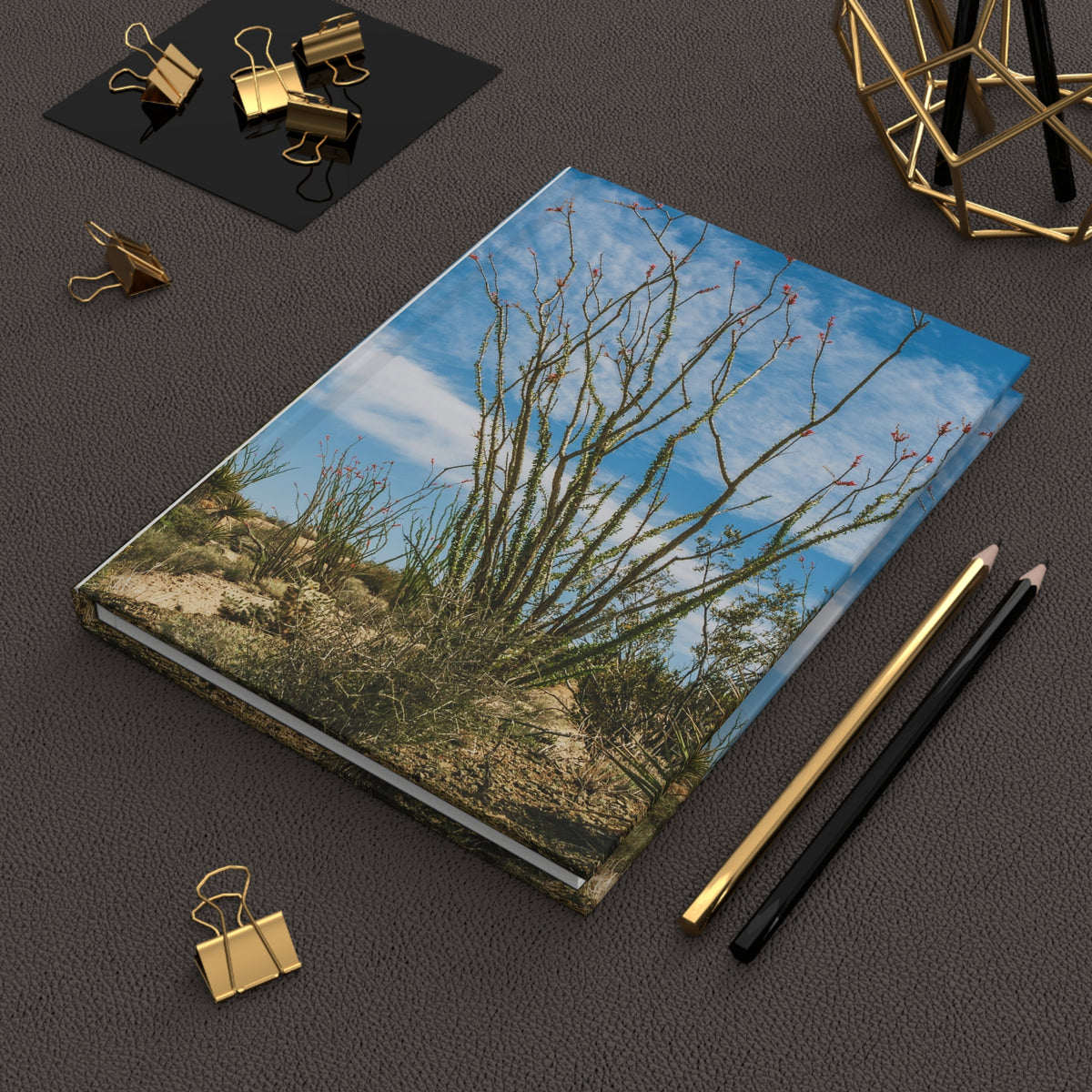 Ocotillo Cactus Hardcover Journal, Joshua Tree National Park - Ruled Line or Blank