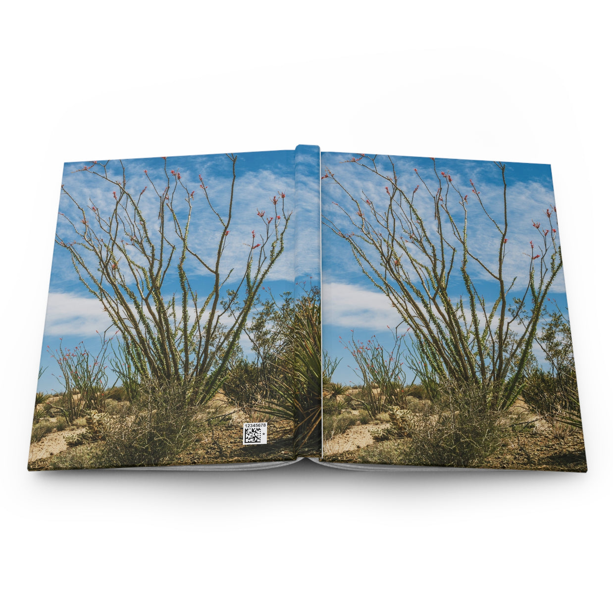 Ocotillo Cactus Hardcover Journal, Joshua Tree National Park - Ruled Line or Blank