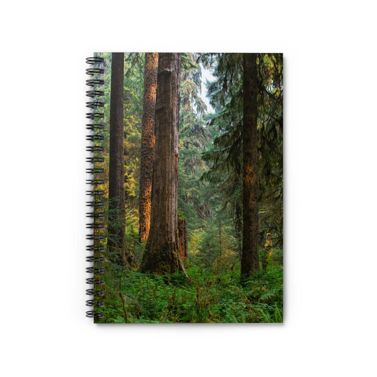 Olympic Rainforest Spiral Notebook - Ruled Line