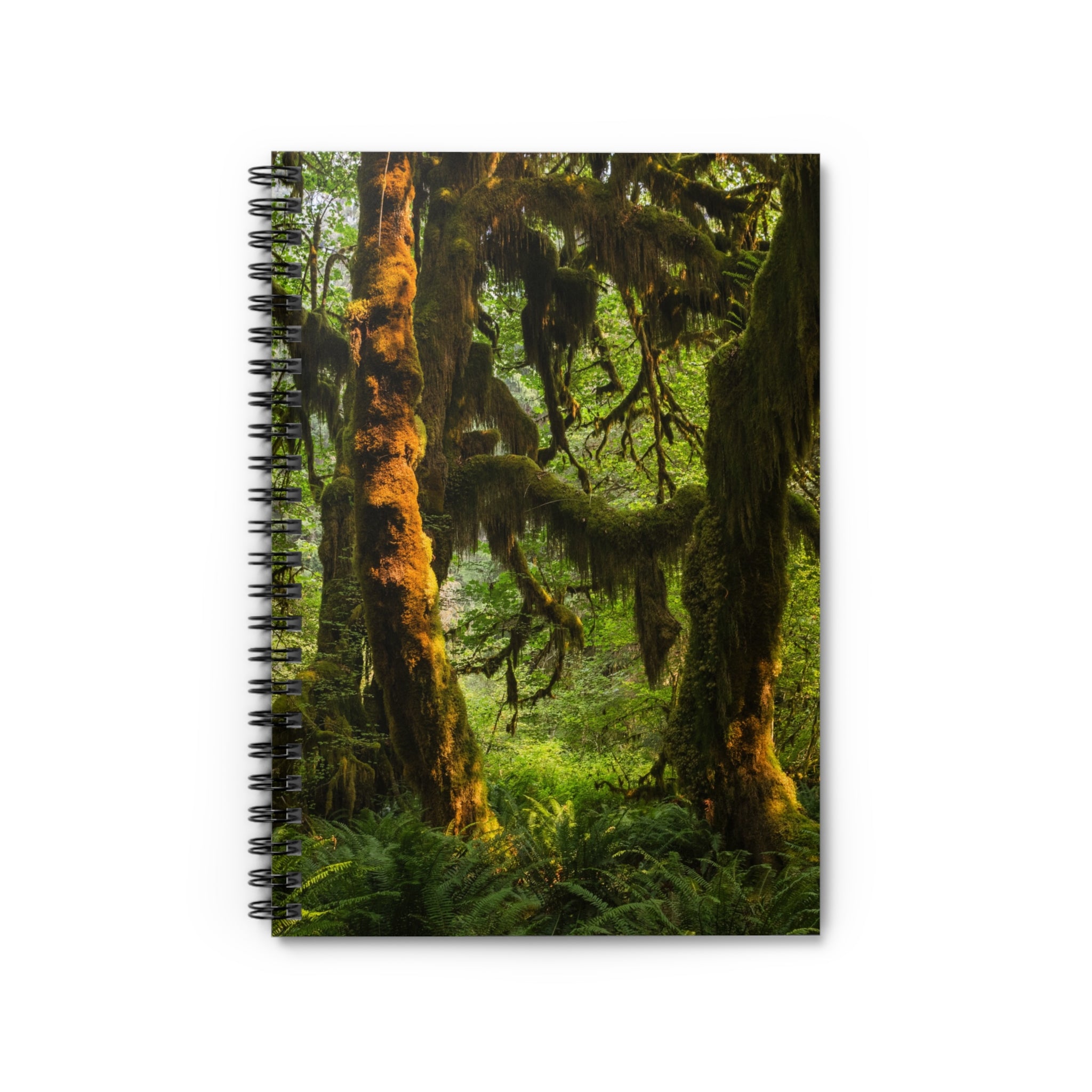 Mossy Forest Spiral Notebook, Olympic National Park - Ruled Line