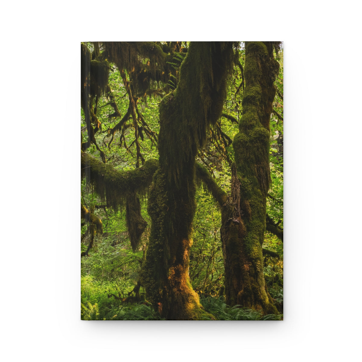 Mossy Forest  Hardcover Journal, Olympic National Park - Ruled Line or Blank