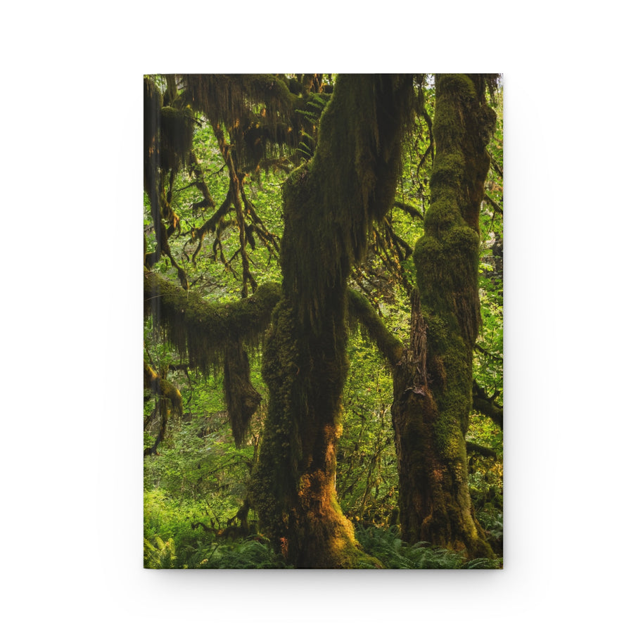Mossy Forest  Hardcover Journal, Olympic National Park - Ruled Line or Blank