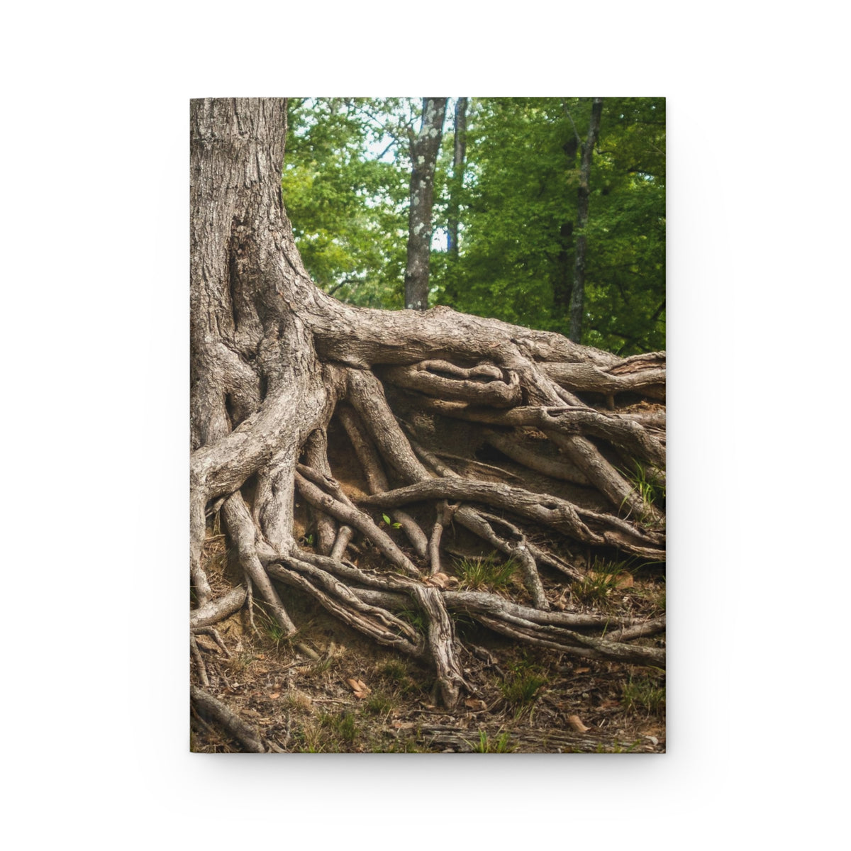 Tree Roots Hardcover Nature Journal - Ruled Line or Blank