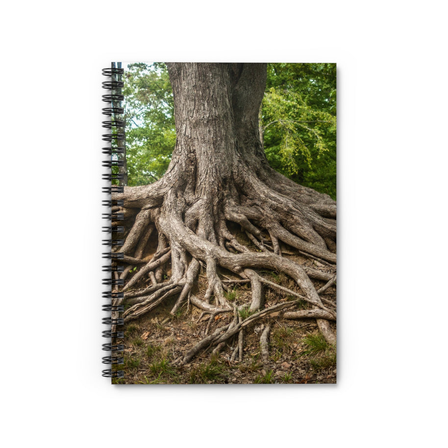 Foggy Forest Notizbuch – Spiral- oder Hardcover, liniert