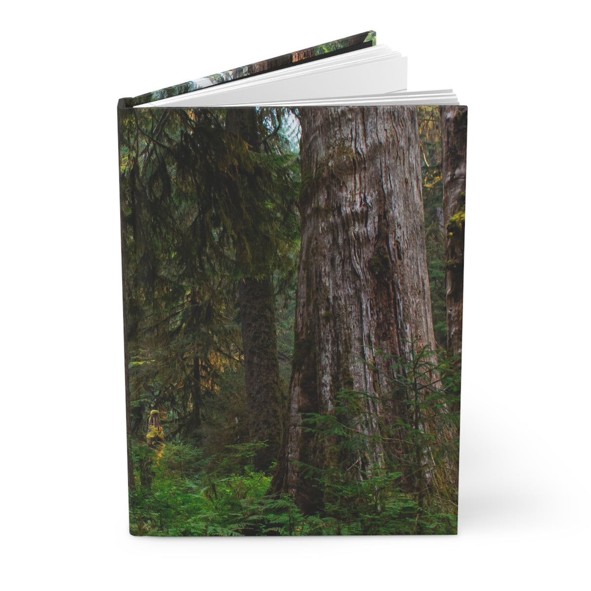 A hardcover notebook or journal standing upright, featuring a photographic cover print of a dense forest with large tree trunks and green undergrowth, shown on a clean white background.