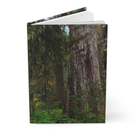 A hardcover notebook or journal standing upright, featuring a photographic cover print of a dense forest with large tree trunks and green undergrowth, shown on a clean white background.