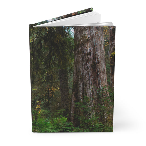 Olympic Rainforest Journal, nature Notebook, Olympic National Park