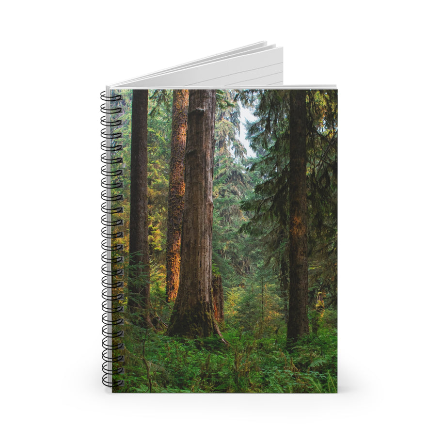 Foggy Forest Notizbuch – Spiral- oder Hardcover, liniert