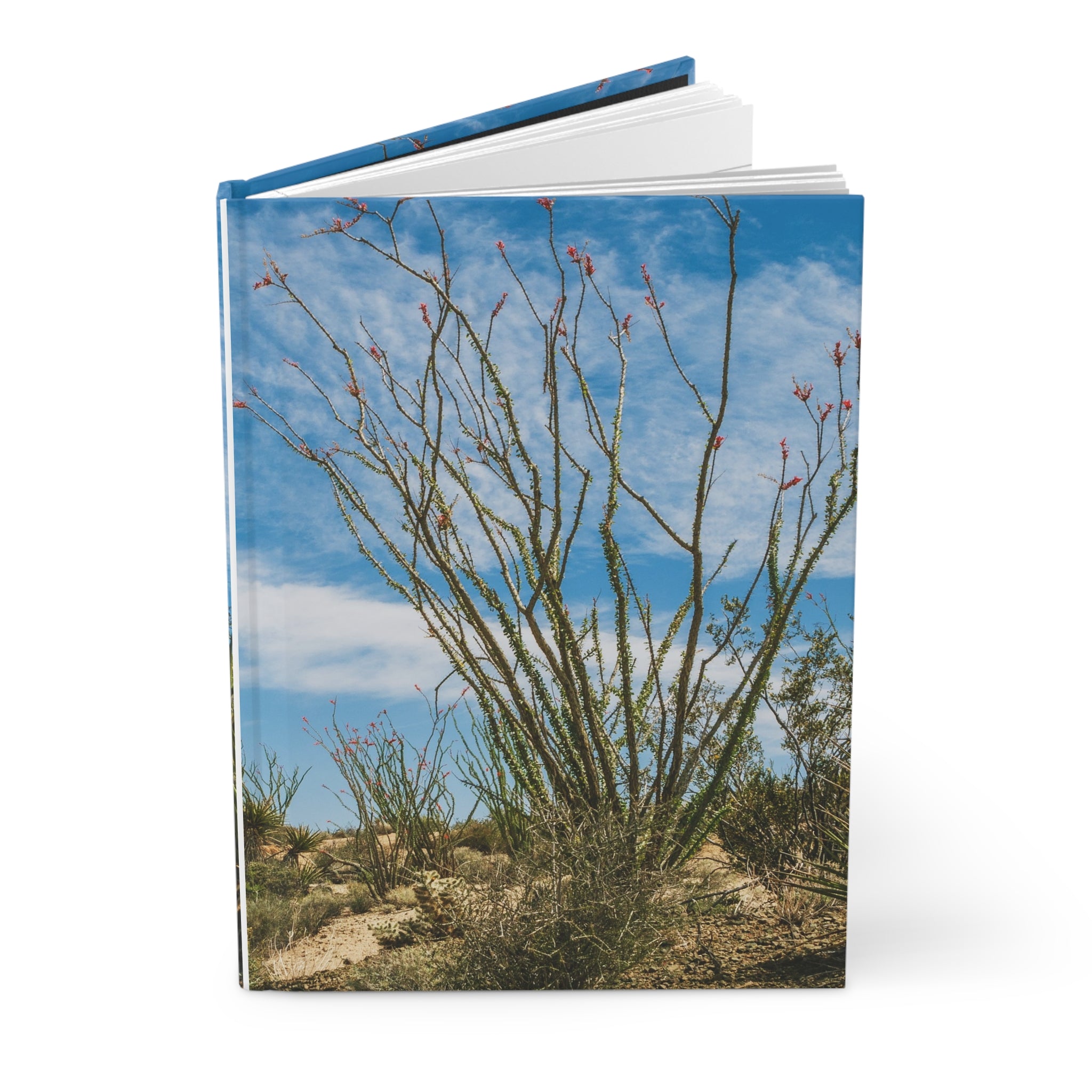 Ocotillo Cactus Hardcover Journal, Joshua Tree National Park - Ruled Line or Blank