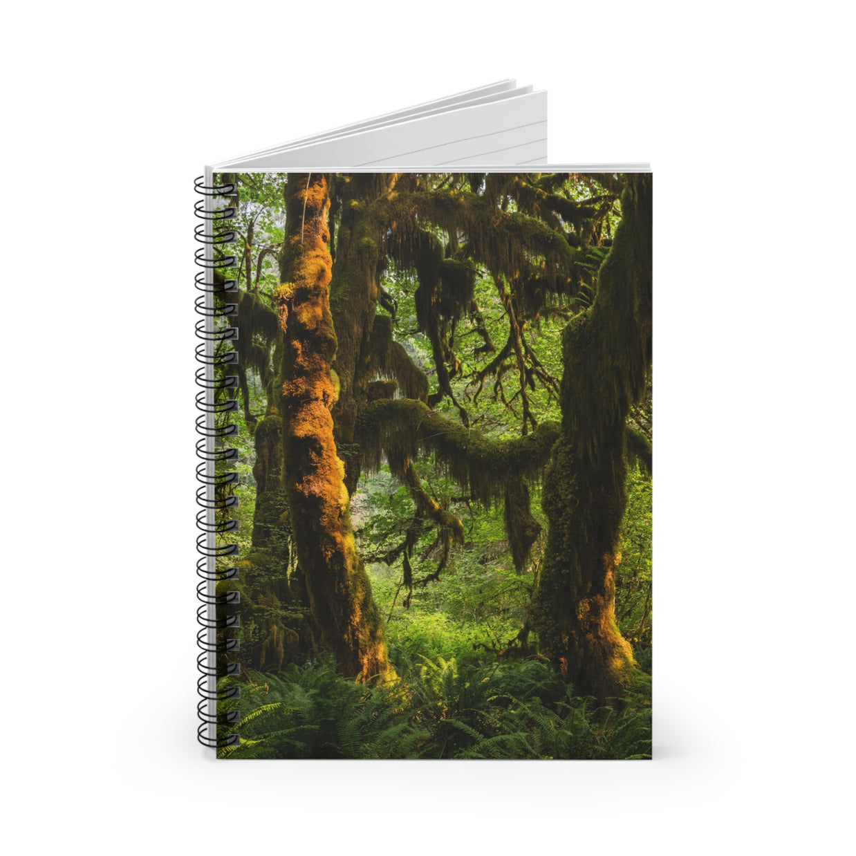 Mossy Forest Spiral Notebook, Olympic National Park - Ruled Line