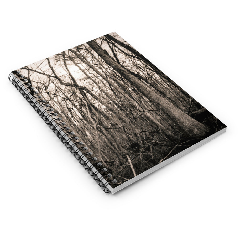 A spiral-bound notebook with a black and white forest tree cover, displayed at an angle on a clean white background.