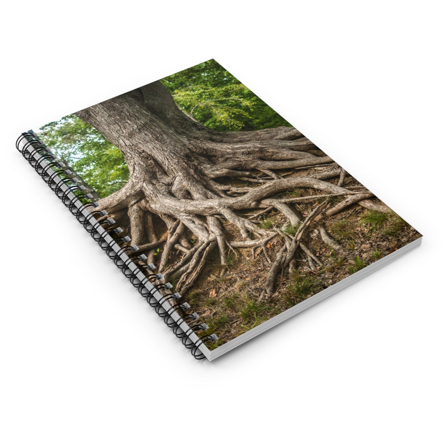 Foggy Forest Notizbuch – Spiral- oder Hardcover, liniert