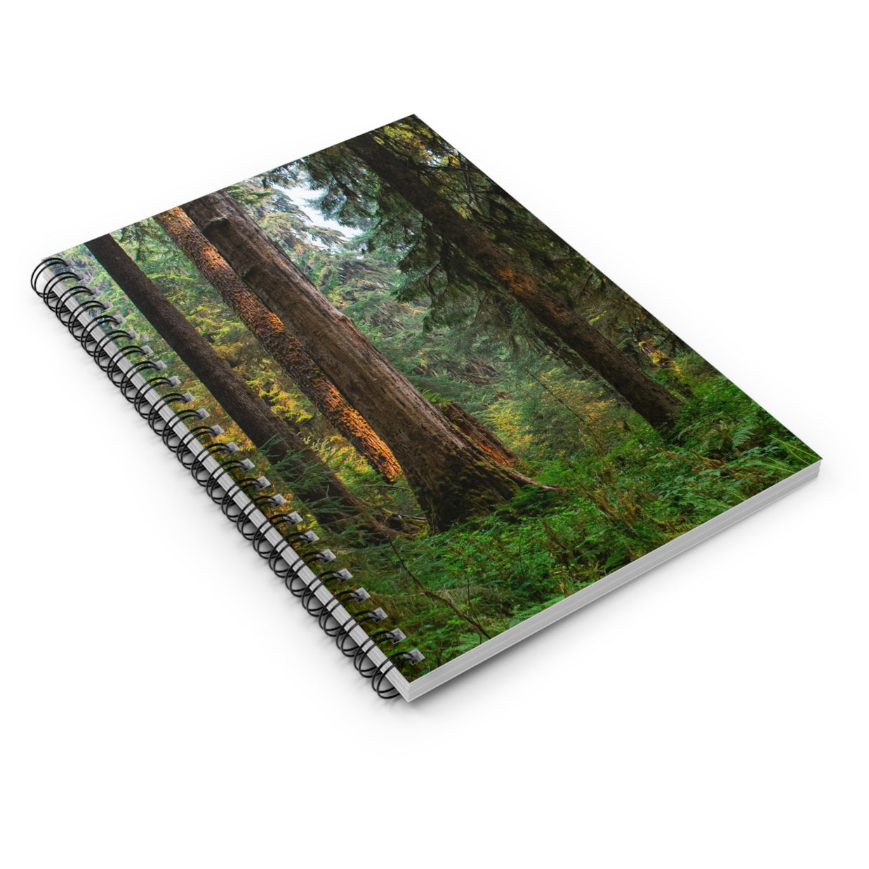 Olympic Rainforest Spiral Notebook - Ruled Line