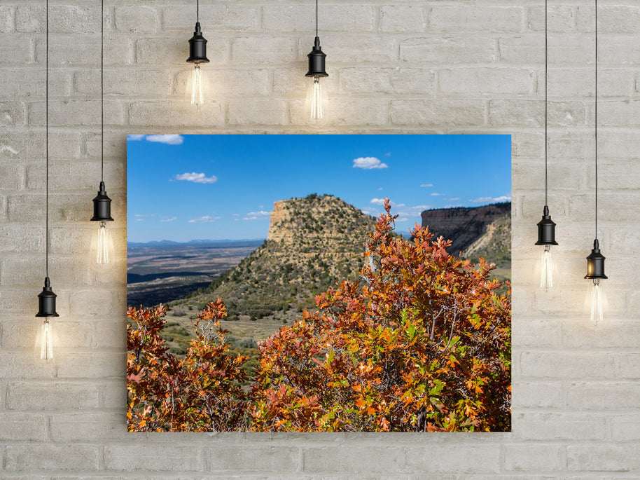 Mesa Verde Autumn Photo Print, Fall Colors, Southwest Nature Photography, Colorado, Oak Trees