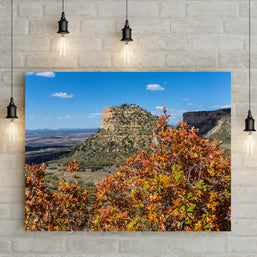 Mesa Verde Autumn Photo Print, Fall Colors, Southwest Nature Photography, Colorado, Oak Trees