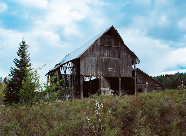 Abandoned Barn Rustic Farm Photography Washington