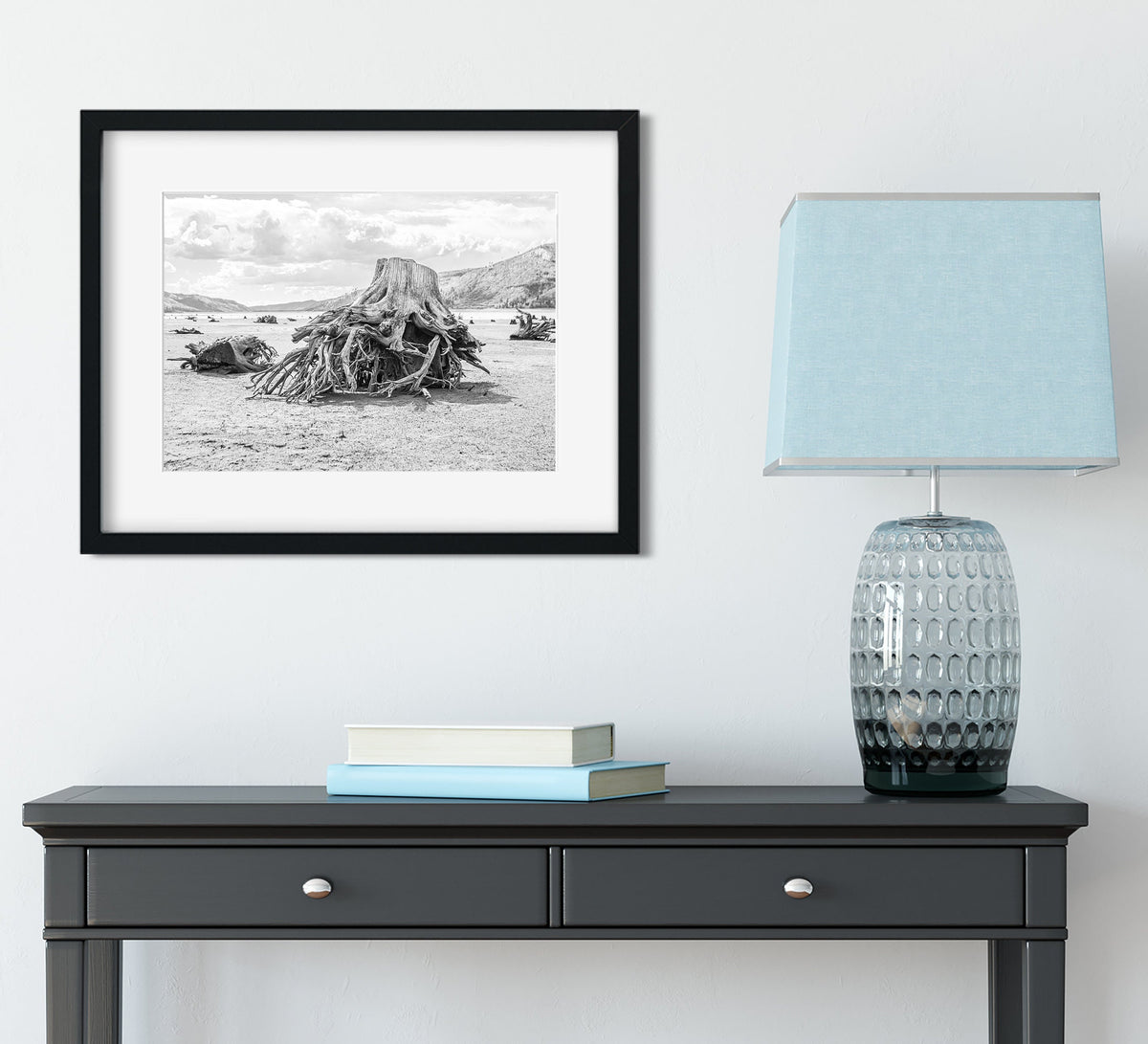 Sun Bleached Tree Roots Photo Print, Black and White Nature Photography, Lake Life