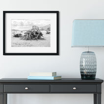 Sun Bleached Tree Roots Photo Print, Black and White Nature Photography, Lake Life