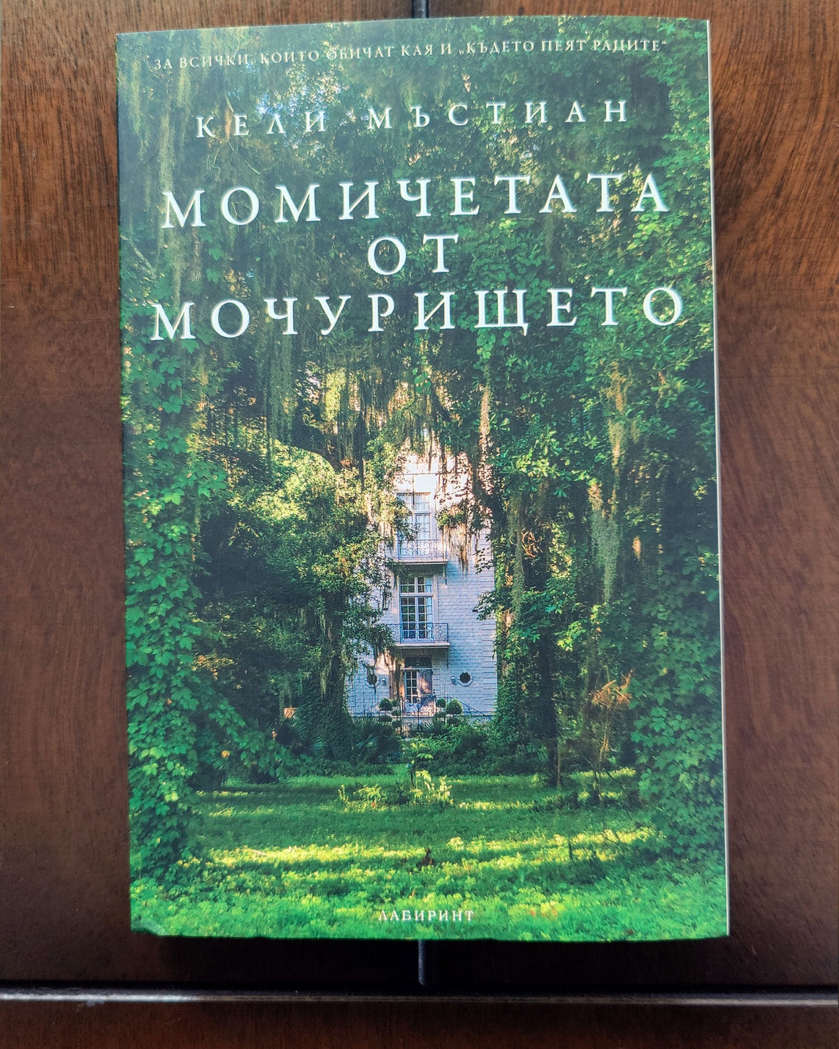 The Girls in the Stilt House book cover